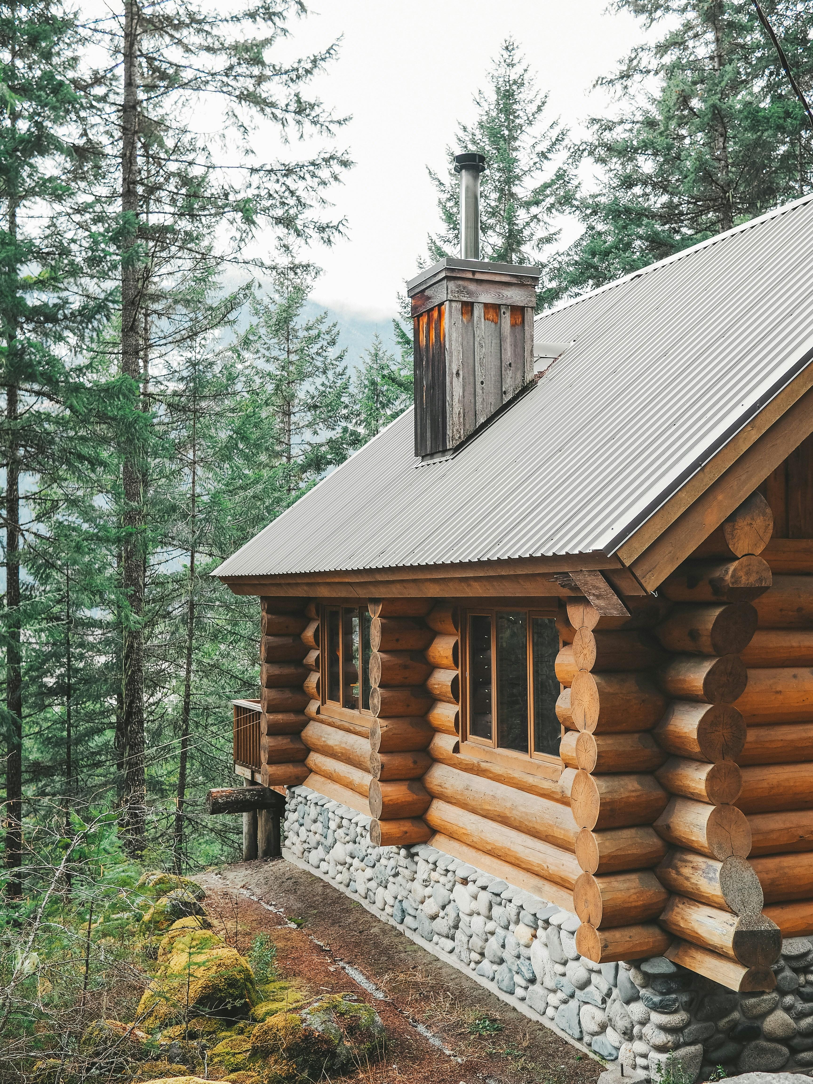 Forest cabin